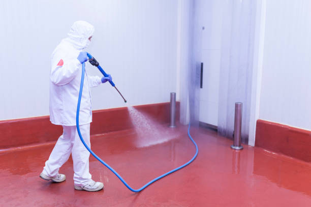 Best Dumpster Area Cleaning  in Libertyvle, IL